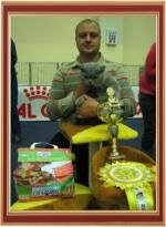 We took part in the International Cat Show 15-16 September 2012, the international tournament "Master CAT", cup of "Royal Canin" in the city of Kharkiv.