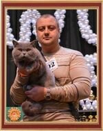 World Cat Show 5-6 October 2013 "WCF SilverJubilee - 25 Years Anniversary", Dnepropetrovsk, Ukraine. Here she is, the last step to the top! At the World Cat Show our cat Yannick Champion of the World!