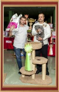 Международная выставка кошек 29-30 сентября 2012 г., г. Белгород.