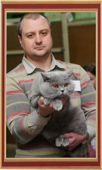 Международная выставка кошек 2-3 марта 2013 г., г. Белгород.