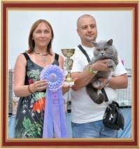 Международная выставка кошек 22-23 июня 2013 г. "Кубок Херсонеса ", г. Севастополь, Ураина.