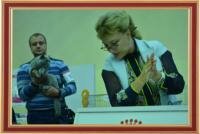 Международная выставка кошек 14-15 сентября 2013 г., международный чемпионат "Master CAT", Харьков (Украина).